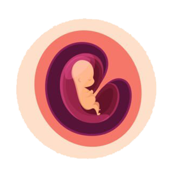 Baby Development stage-2