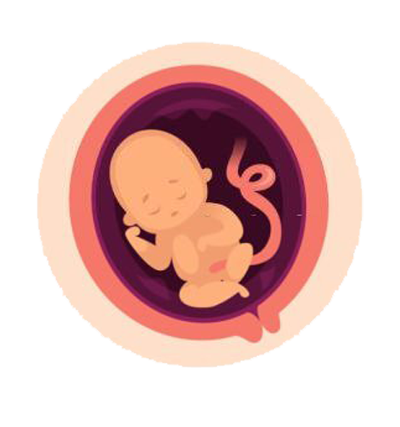 Baby Development stage-5