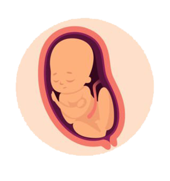 Baby Development stage-8