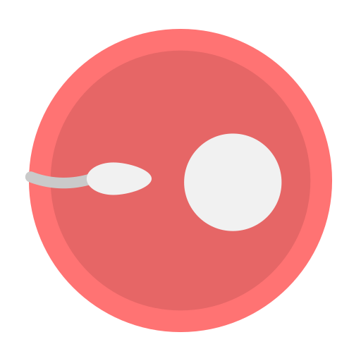 first Trimester ovum