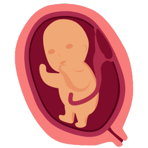 Best Fetal Surveillance Services In Patna